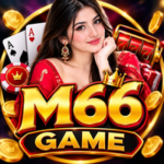 M66 Game