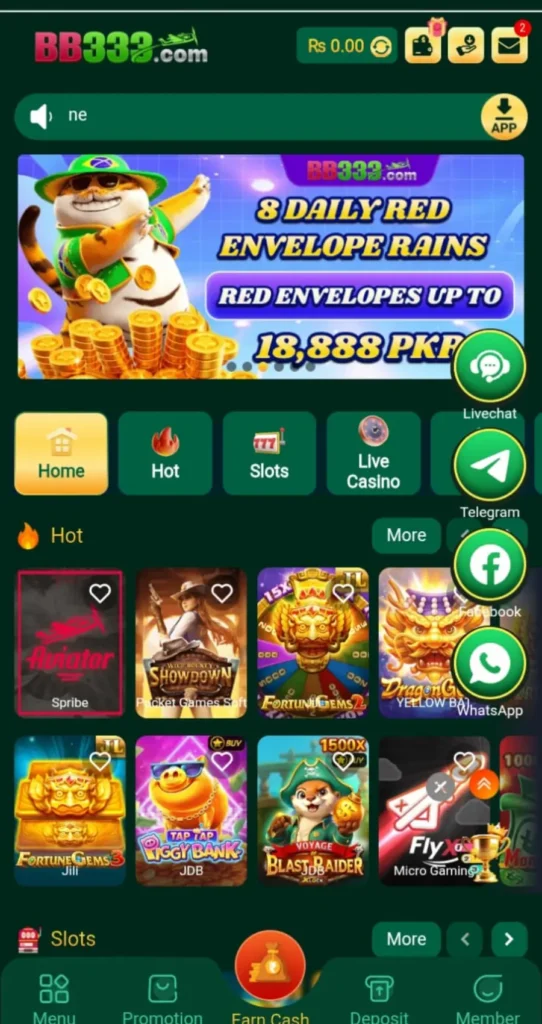 BB333  Game