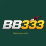 BB333 Game