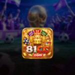 81cc Game